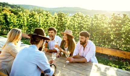 Wine Tours in Lake Tahoe