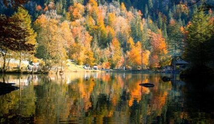 Fall Ale Fest and Chicken Wing Contest in Lake Tahoe